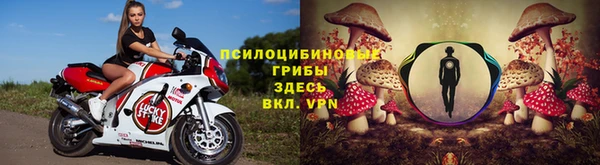 а пвп мука Новокубанск