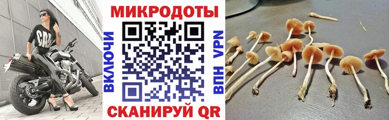 как найти наркотики  Россошь  Псилоцибиновые грибы мицелий 