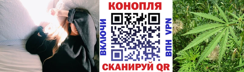 Шишки марихуана марихуана  Россошь 